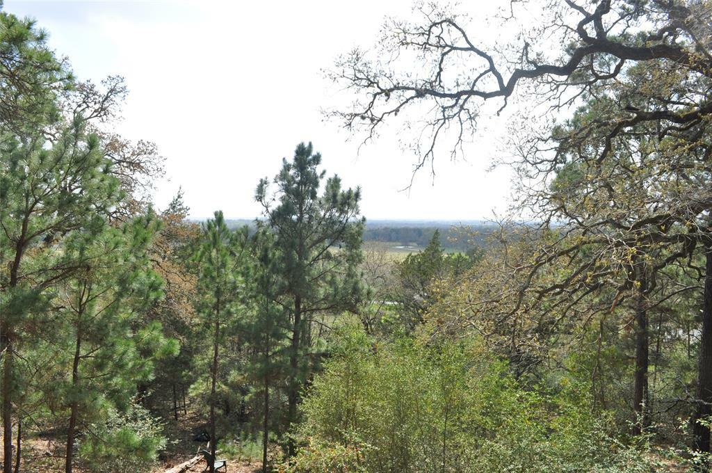 Property Photo: Tbd Fm 153 TX 78945