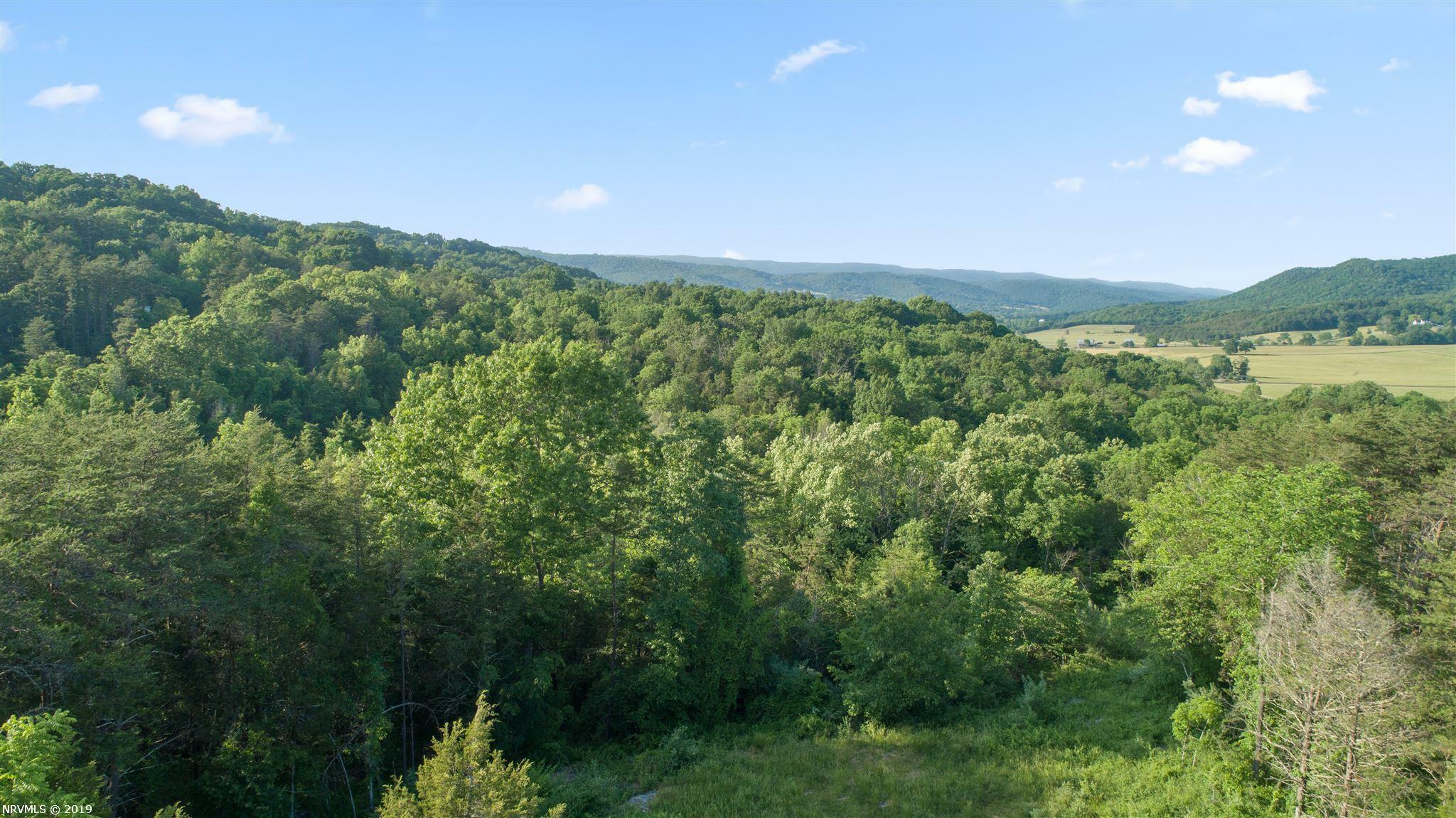 Property Photo:  Lot B1 Nellies Cave Road  VA 24060 