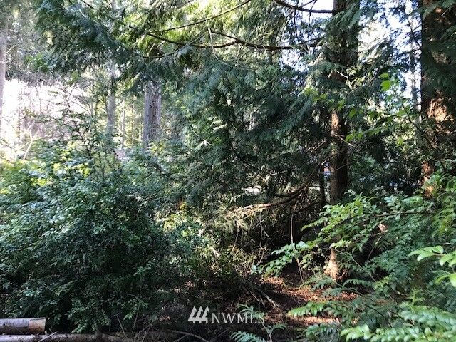 Property Photo: 0 Lot11&Amp12 Skye Place WA 98236
