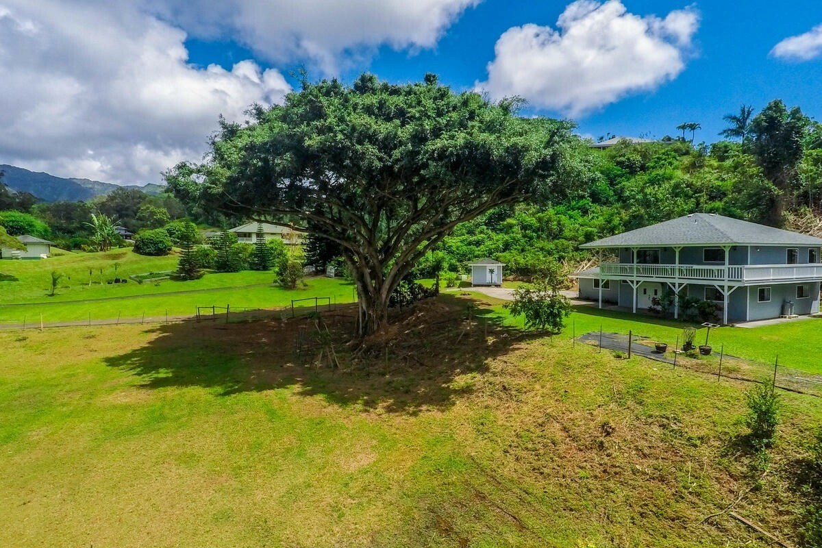 Property Photo: 6704-B Kipapa Rd A HI 96746