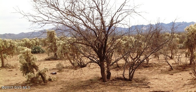 Property Photo:  6800 E Andrada Road  AZ 85629 