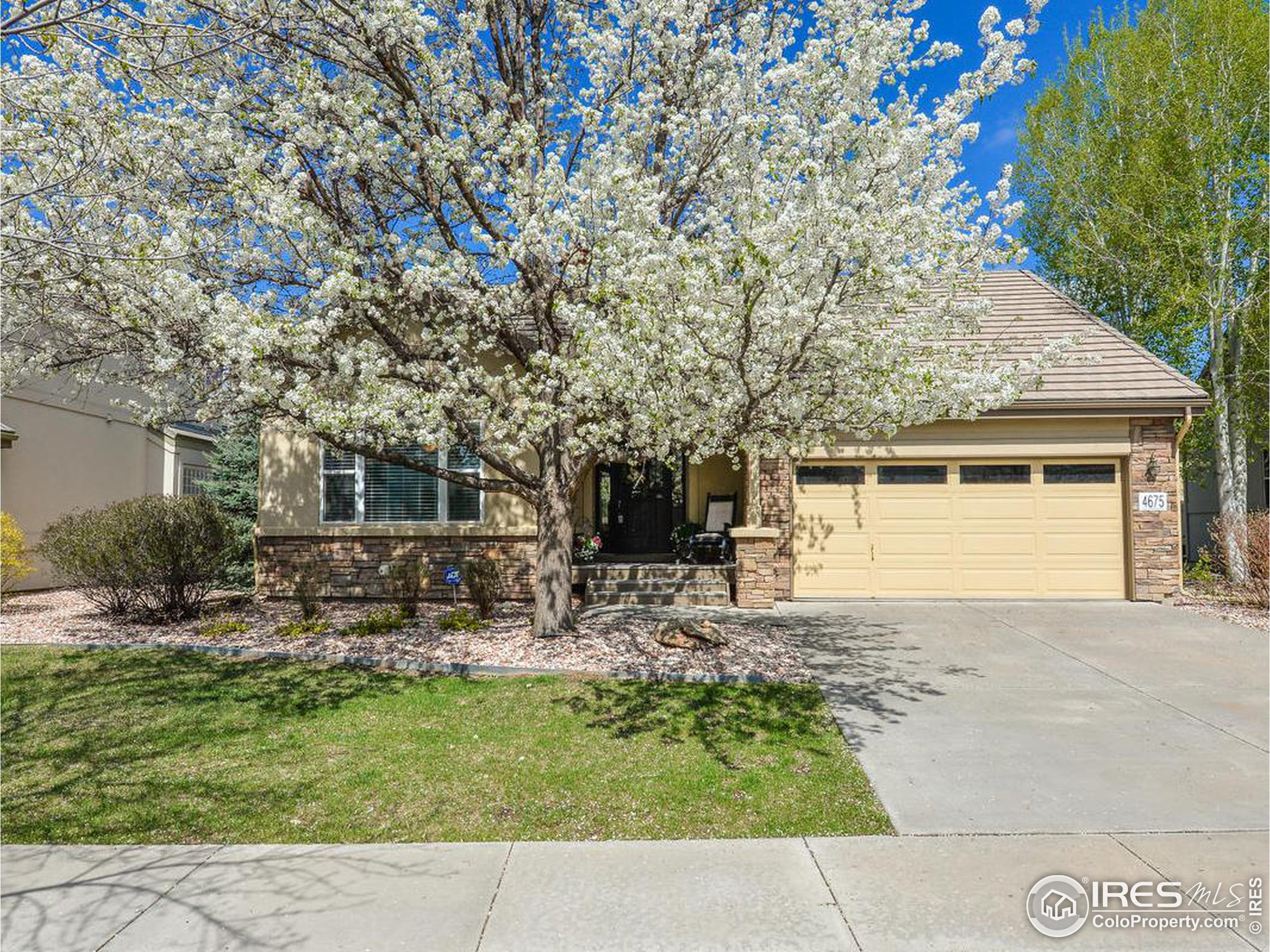 Property Photo: 4675 Foothills Dr CO 80537