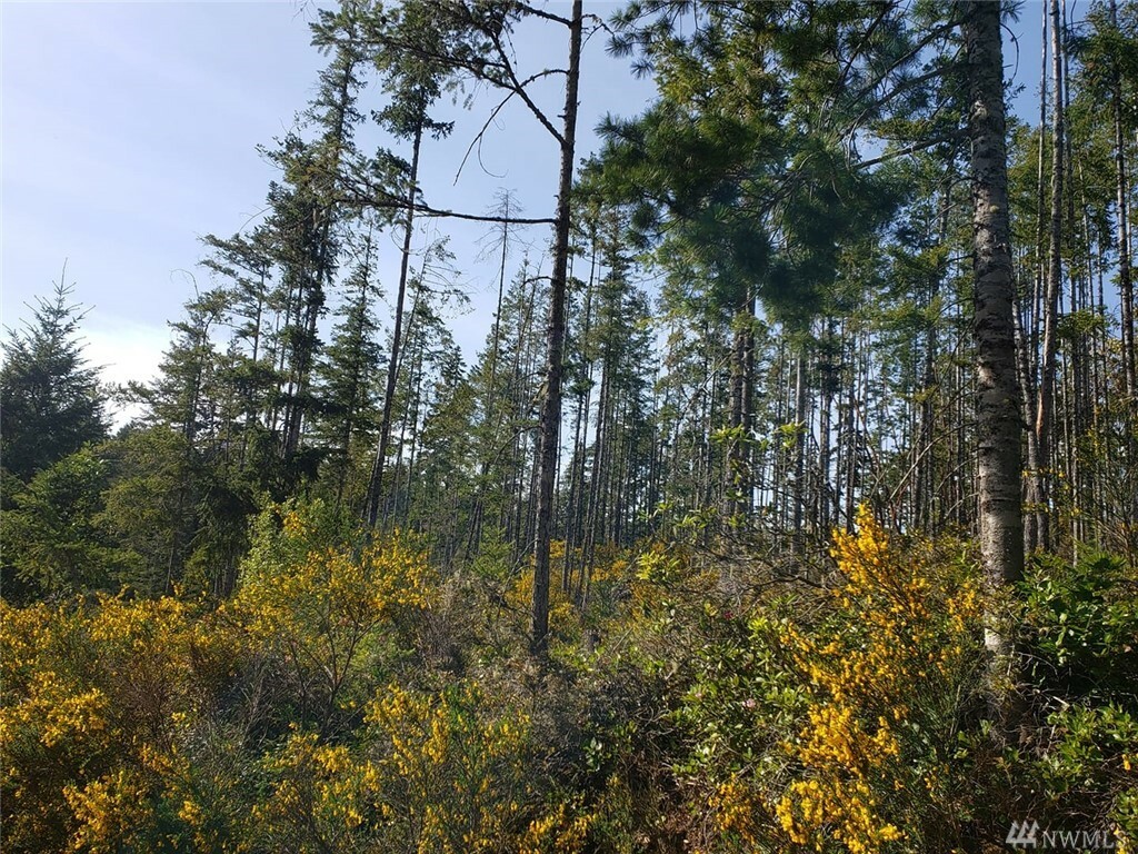 Property Photo: Lot Xxxx Rd WA 98383