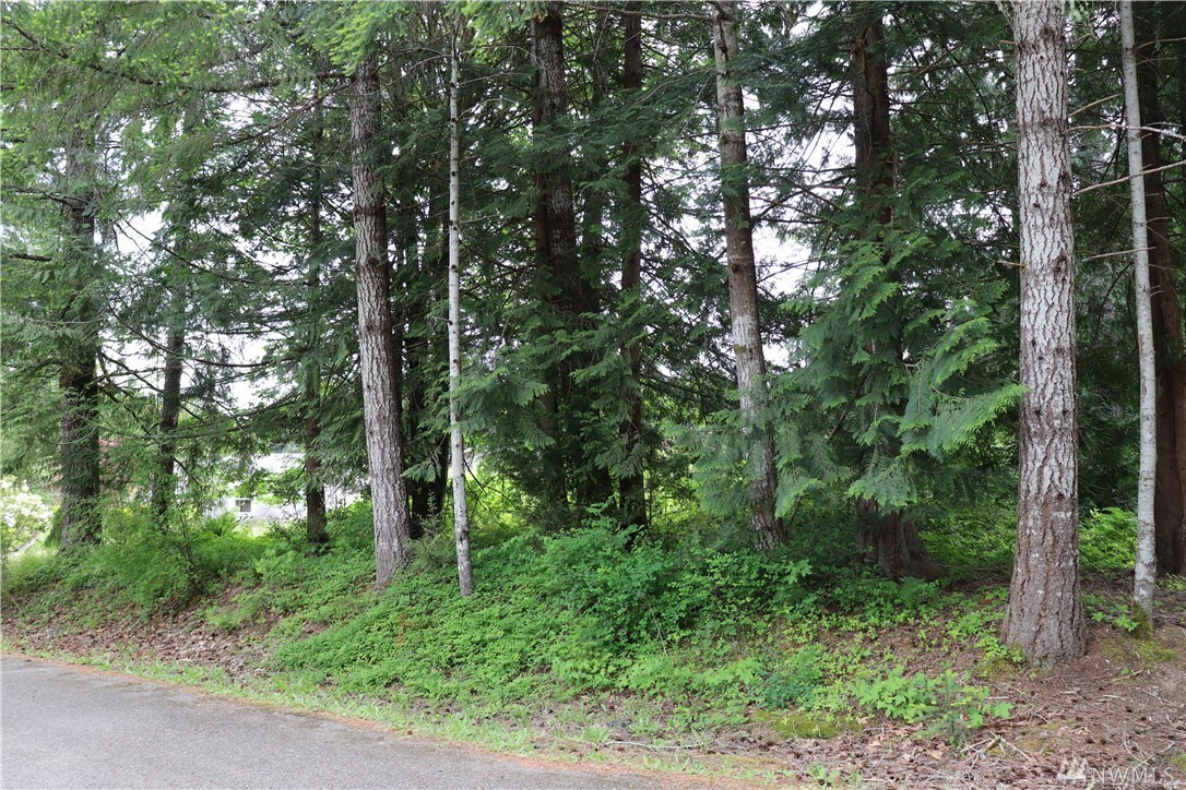 Property Photo: 40 SE Barberry Ct WA 98584