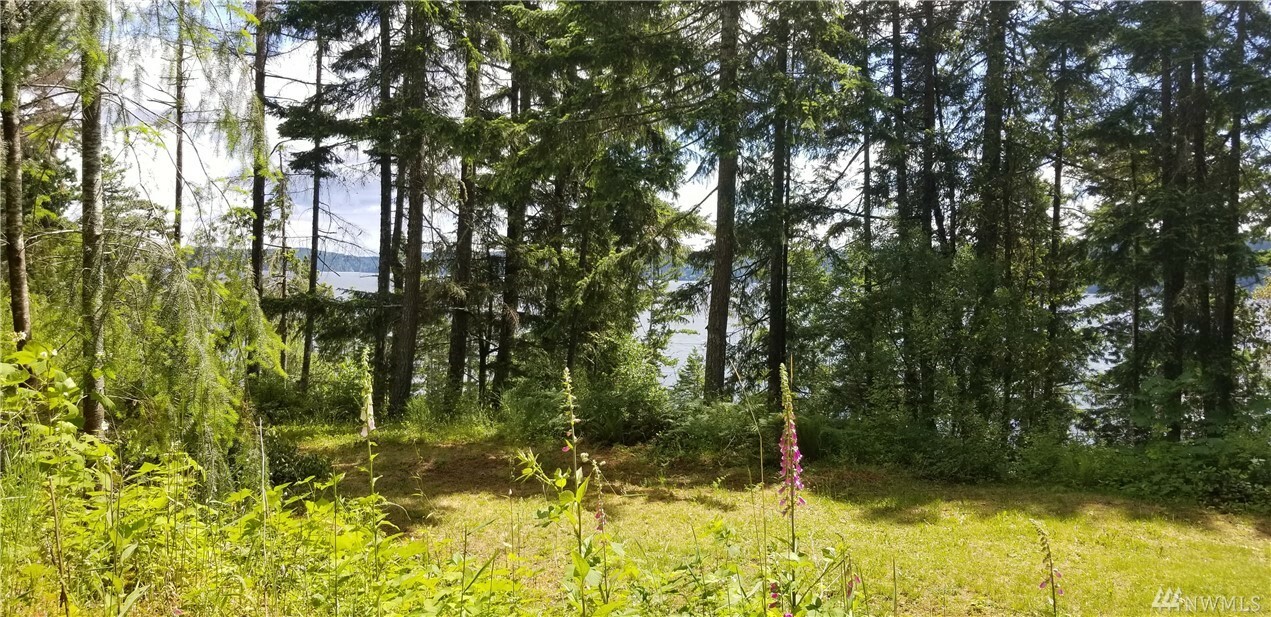 Property Photo:  0 Lot 4  722 N Seagull Wy  WA 98555 