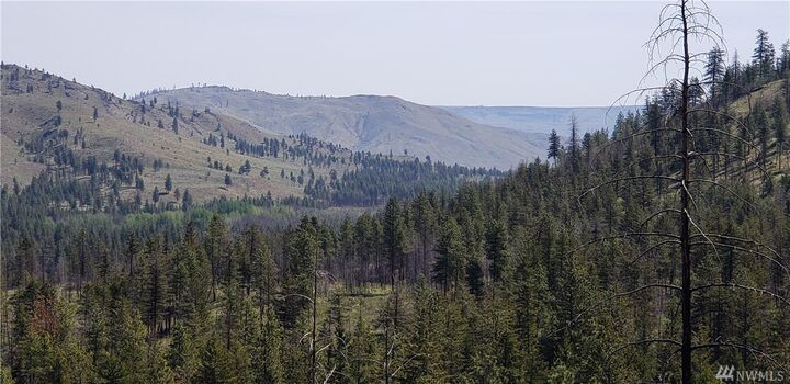 111 Washington Creek  Chelan WA 98816 photo