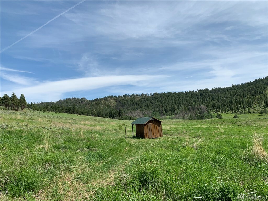 Property Photo:  559 Texas Creek Rd  WA 98856 