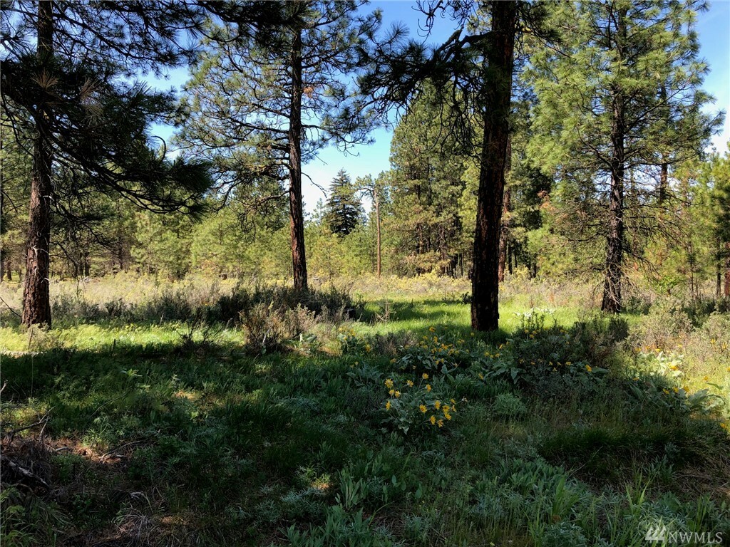 Property Photo:  3581 Hwy 970 (Lot B2)  WA 98922 