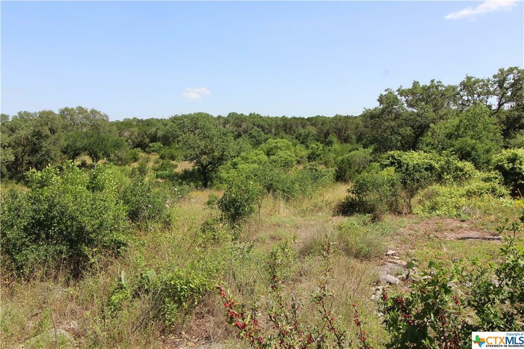 Property Photo:  1001 Oak Grove Road  TX 78666 