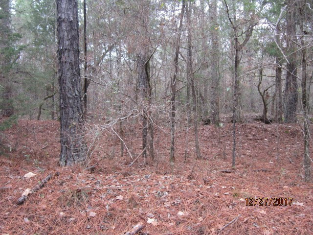 Property Photo:  000 Silas Mercer Road  GA 30631 