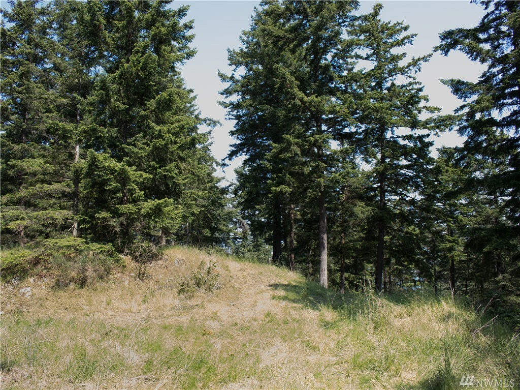 Property Photo: 0 Circle St WA 98262