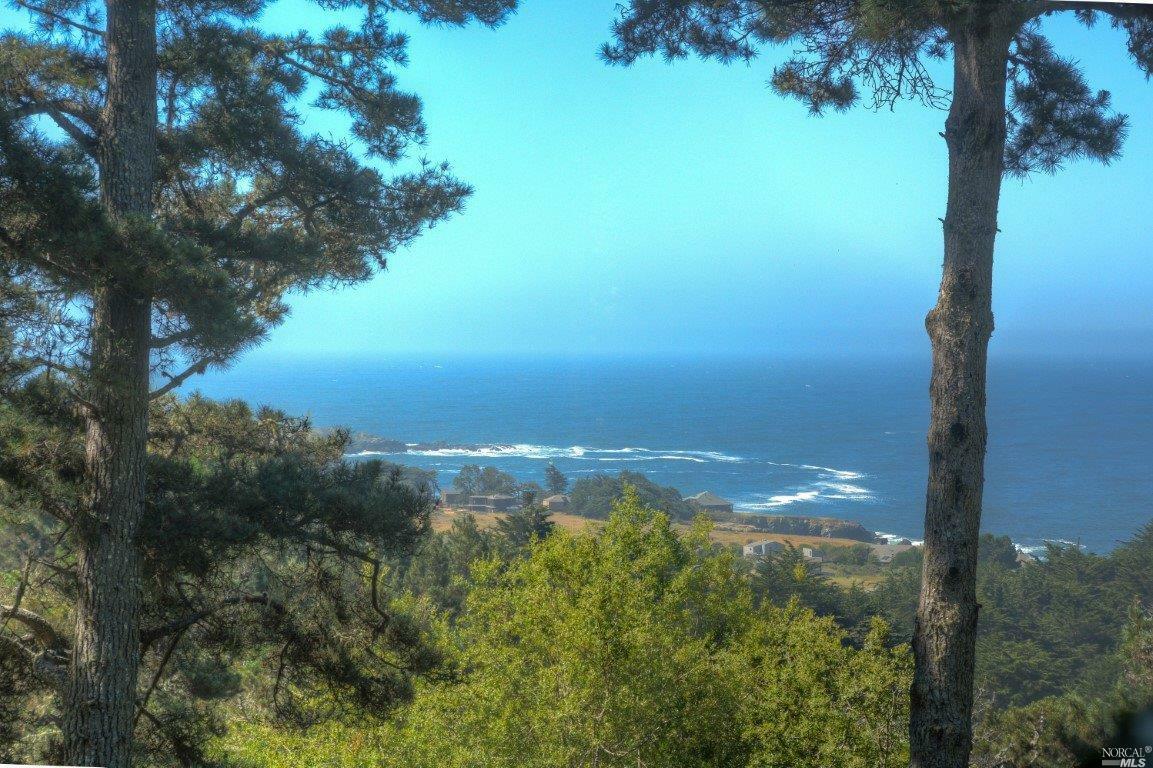 Property Photo: 254 Pilot Reach CA 95497
