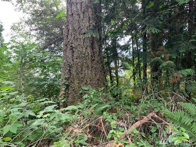 Property Photo: 0 143rd St NW WA 98335