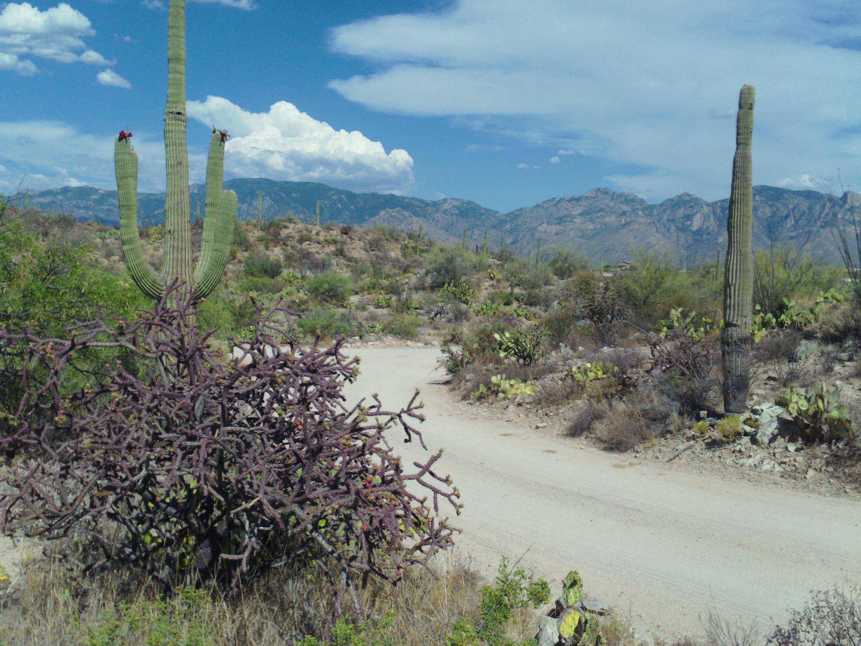 Property Photo:  N Gibson Trail B  AZ 85755 