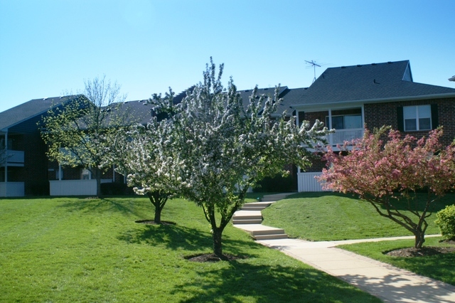 Property Photo:  2344 S Goebbert Road 2081  IL 60005 