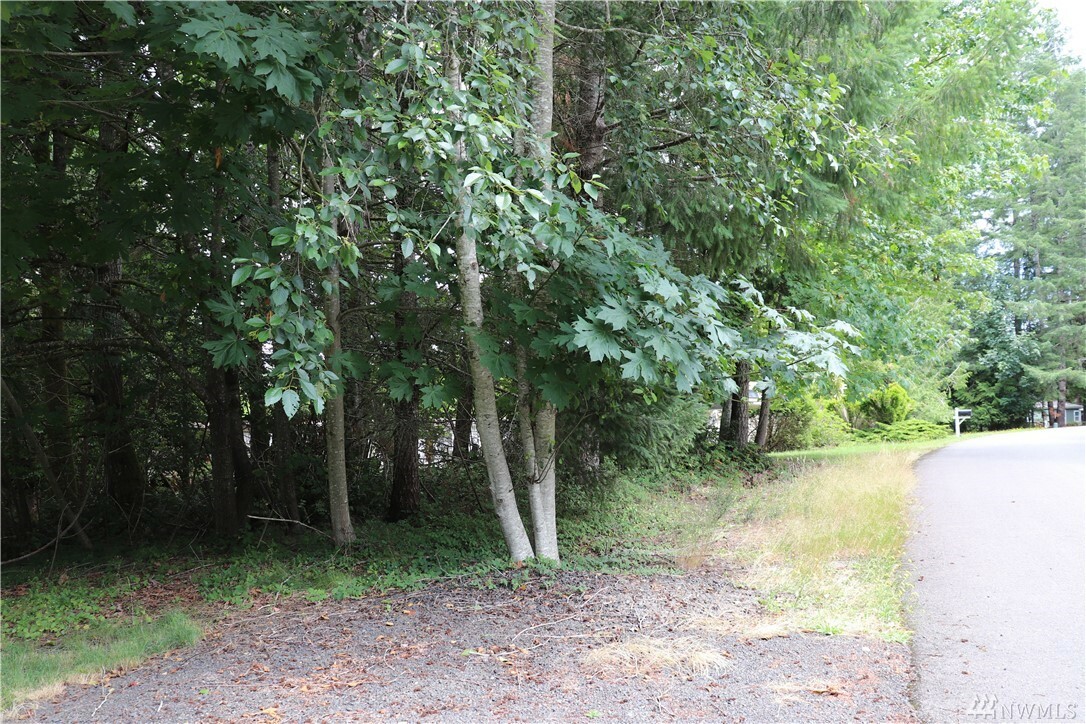 Property Photo: 30 SE Lupine Place WA 98584