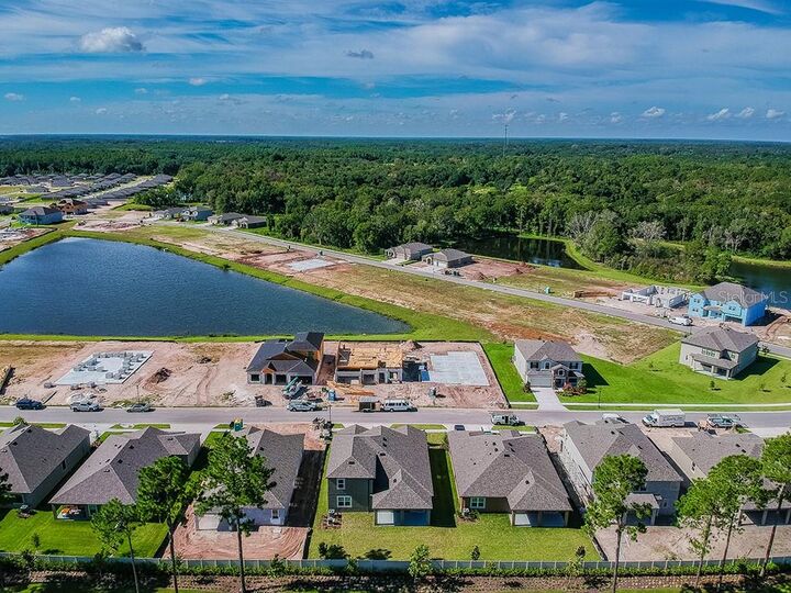 Property Photo: 18603 Obregan Drive FL 34610