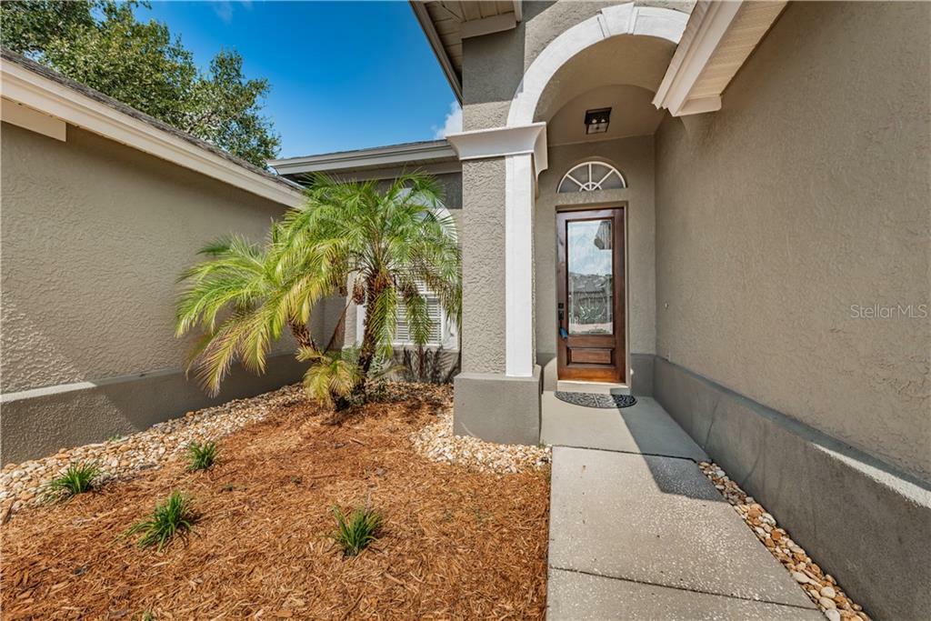 Property Photo:  1820 Riveredge Drive  FL 34689 