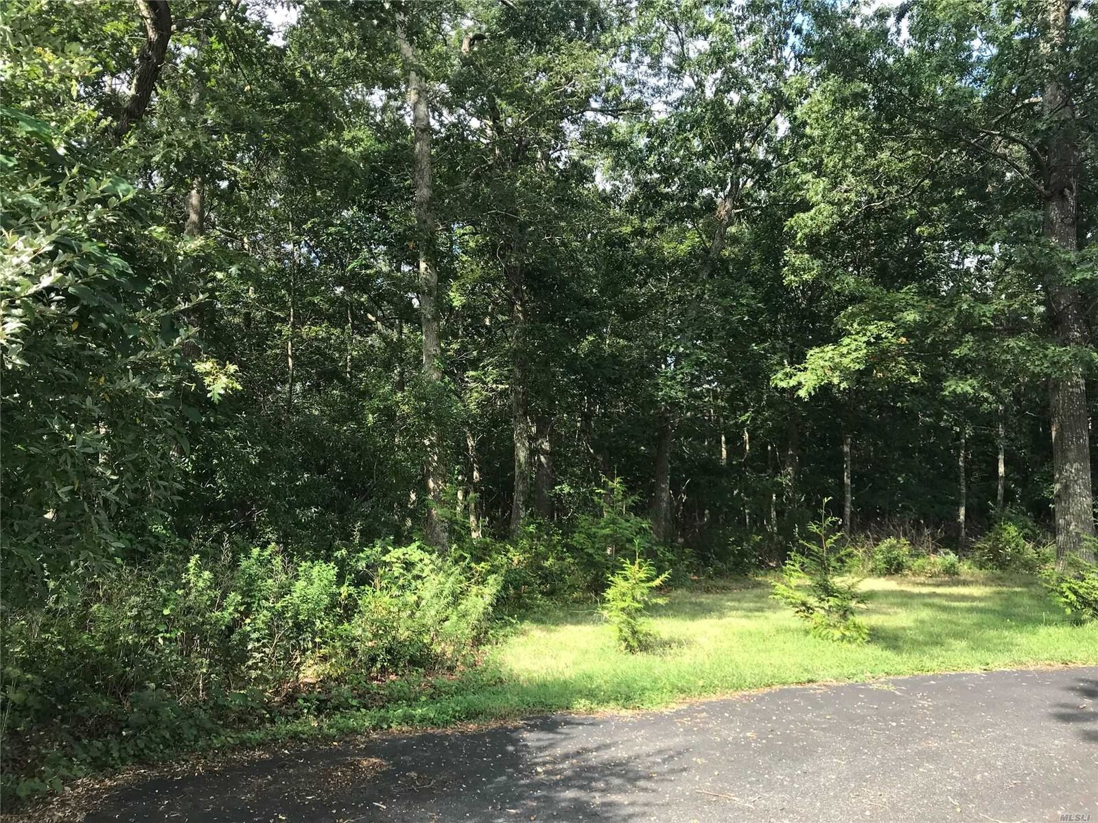 Property Photo:  1559 Wad River Mnrvl Road  NY 11792 