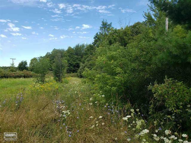 Property Photo: Gleason Rd Vl MI 48022