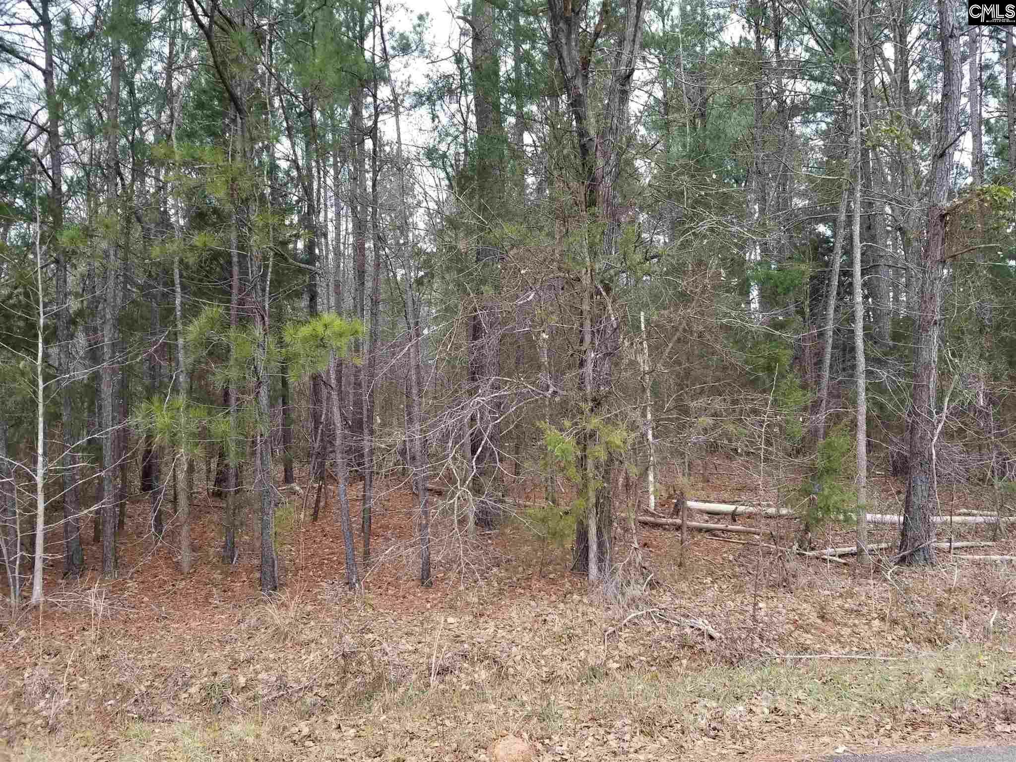 Property Photo: Lot 21 Charming Circle SC 29180