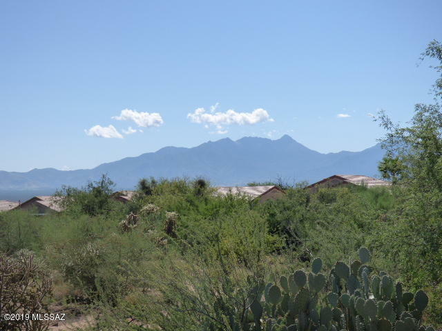 Property Photo: 967 W Calle Artistica AZ 85614