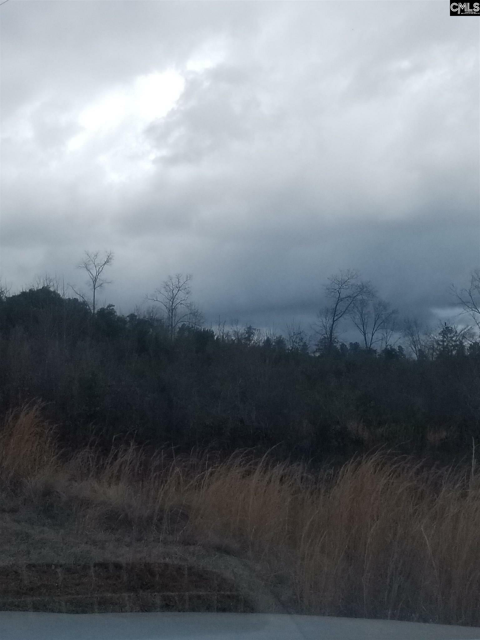 Property Photo: 0 Peachtree Lot 6 SC 29054