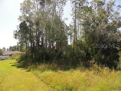 Property Photo:  0 Gateshead Court  FL 34758 