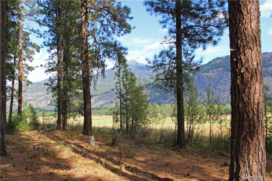 Property Photo:  3 Alpine Valley Lot 3&4  WA 98833 