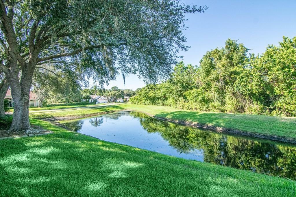 Property Photo: 9311 Palm Haven Court FL 34655
