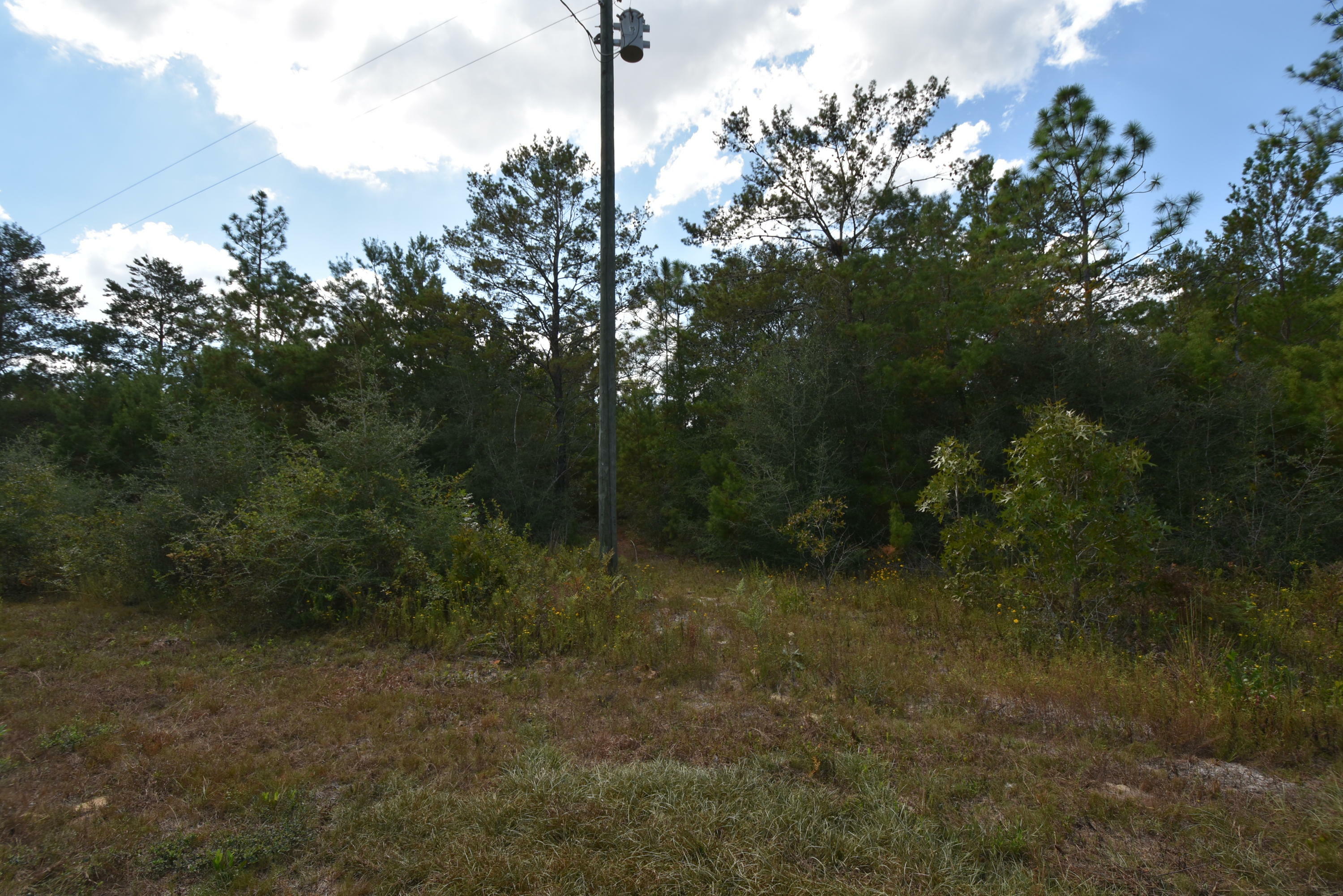 Property Photo:  2 Lots Third Avenue  FL 32539 