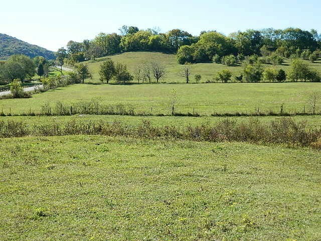 Property Photo: 4317 Peyt-Trinity Rd TN 37067