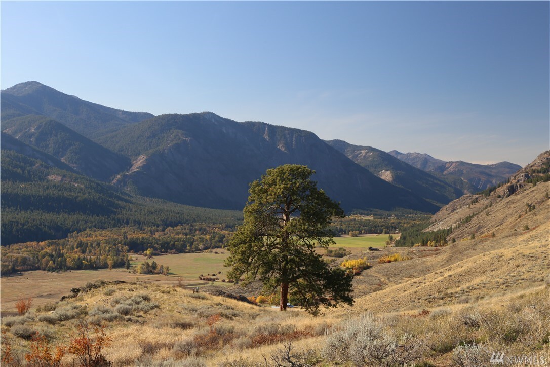 Property Photo: Tbd Spring Grass Rd WA 98862
