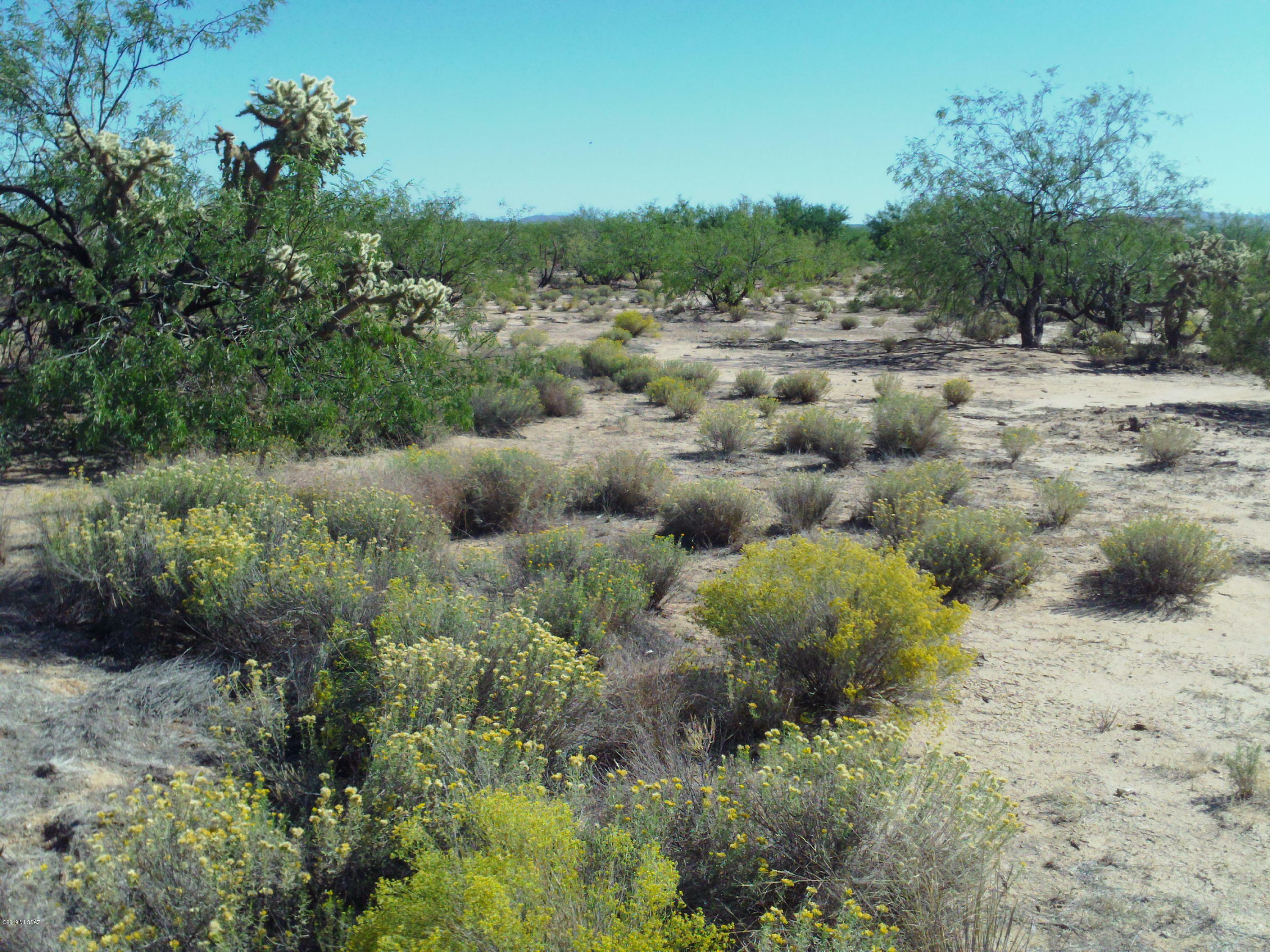 Property Photo:  S Marstellar Road M  AZ 85735 