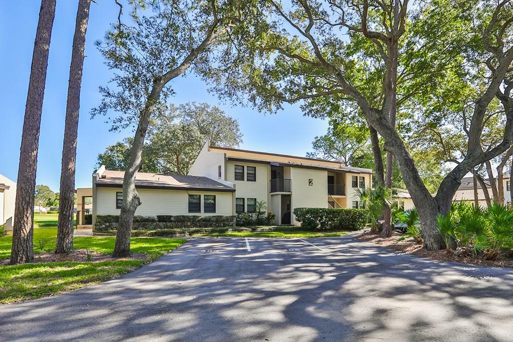 Property Photo:  1000 Tarpon Woods Boulevard 206  FL 34685 