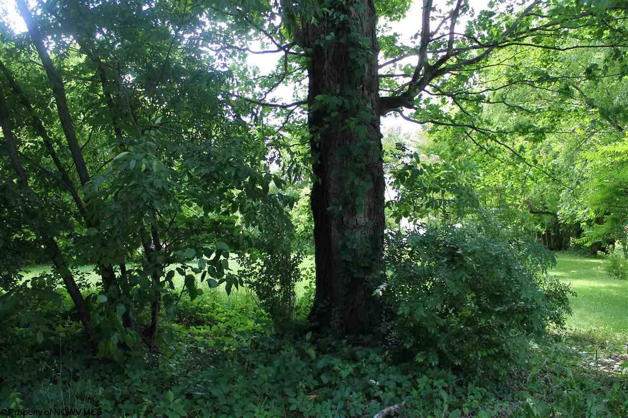 Property Photo:  Lot 4 Knapp Street  WV 26241 