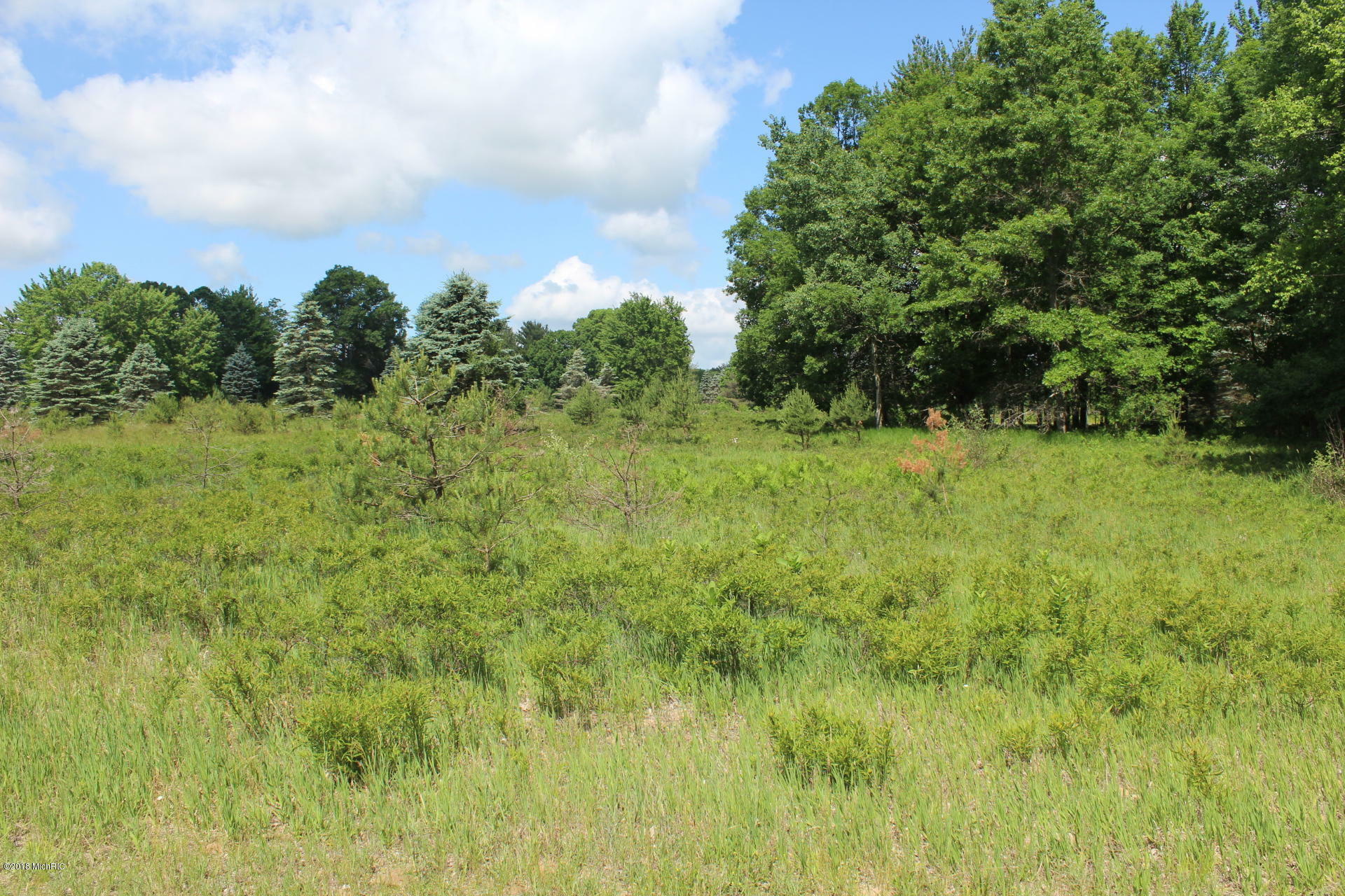 Property Photo:  6695 Dunhill Drive  MI 49346 