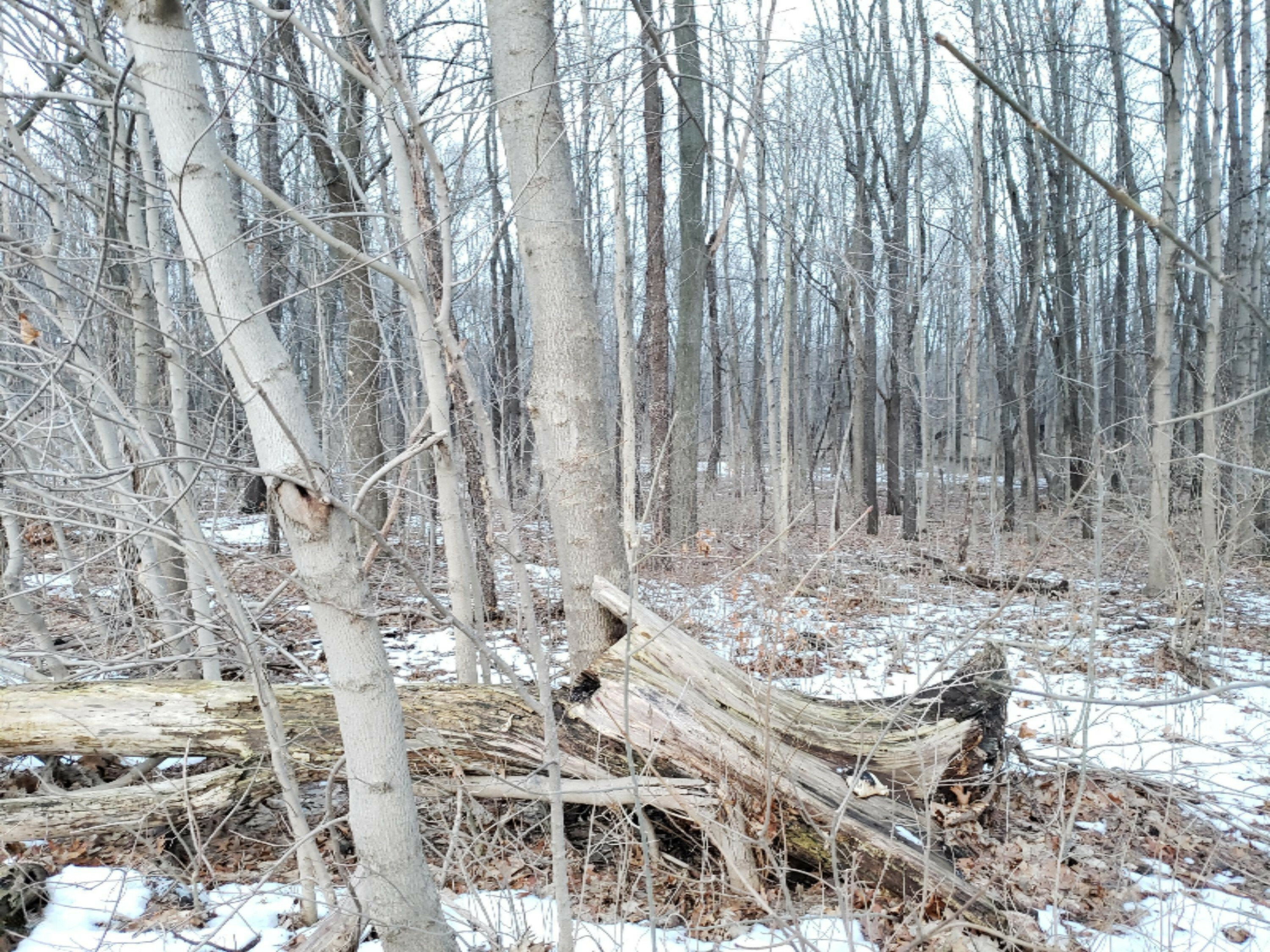 Property Photo: Vl N 5th Street MI 49120
