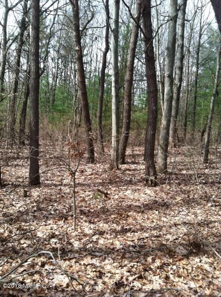 Property Photo:  8687 17 Mile Road NE  MI 49319 