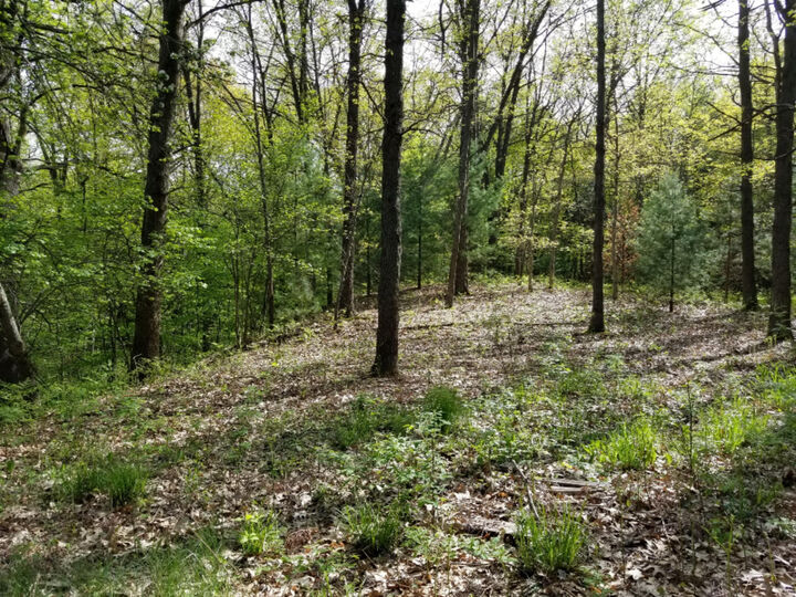 0 W White Lake Drive  Whitehall MI 49461 photo