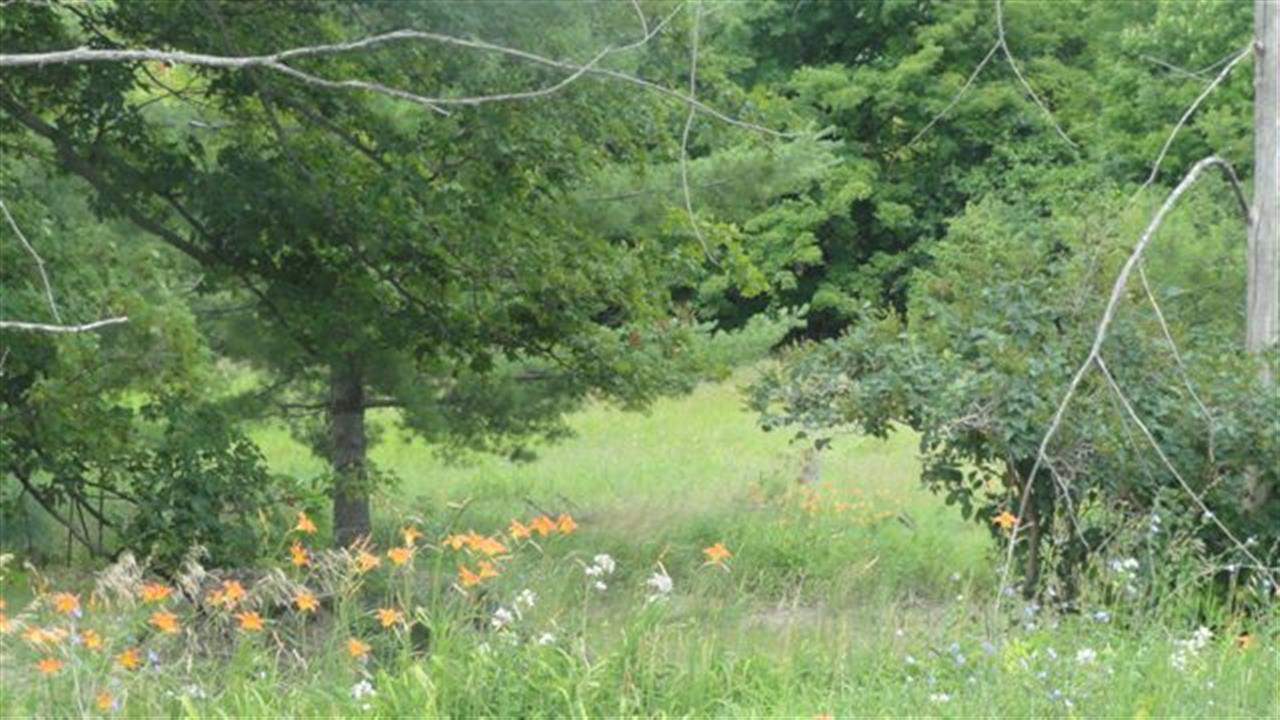 Property Photo: Tbd Ellsworth MI 49727