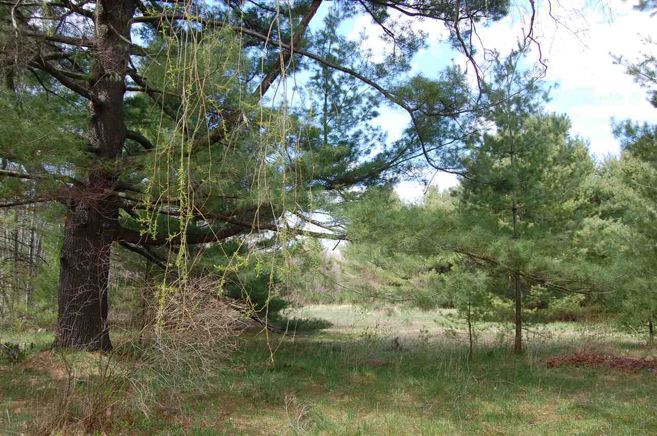 Property Photo: Tbd Jaquay MI 49712