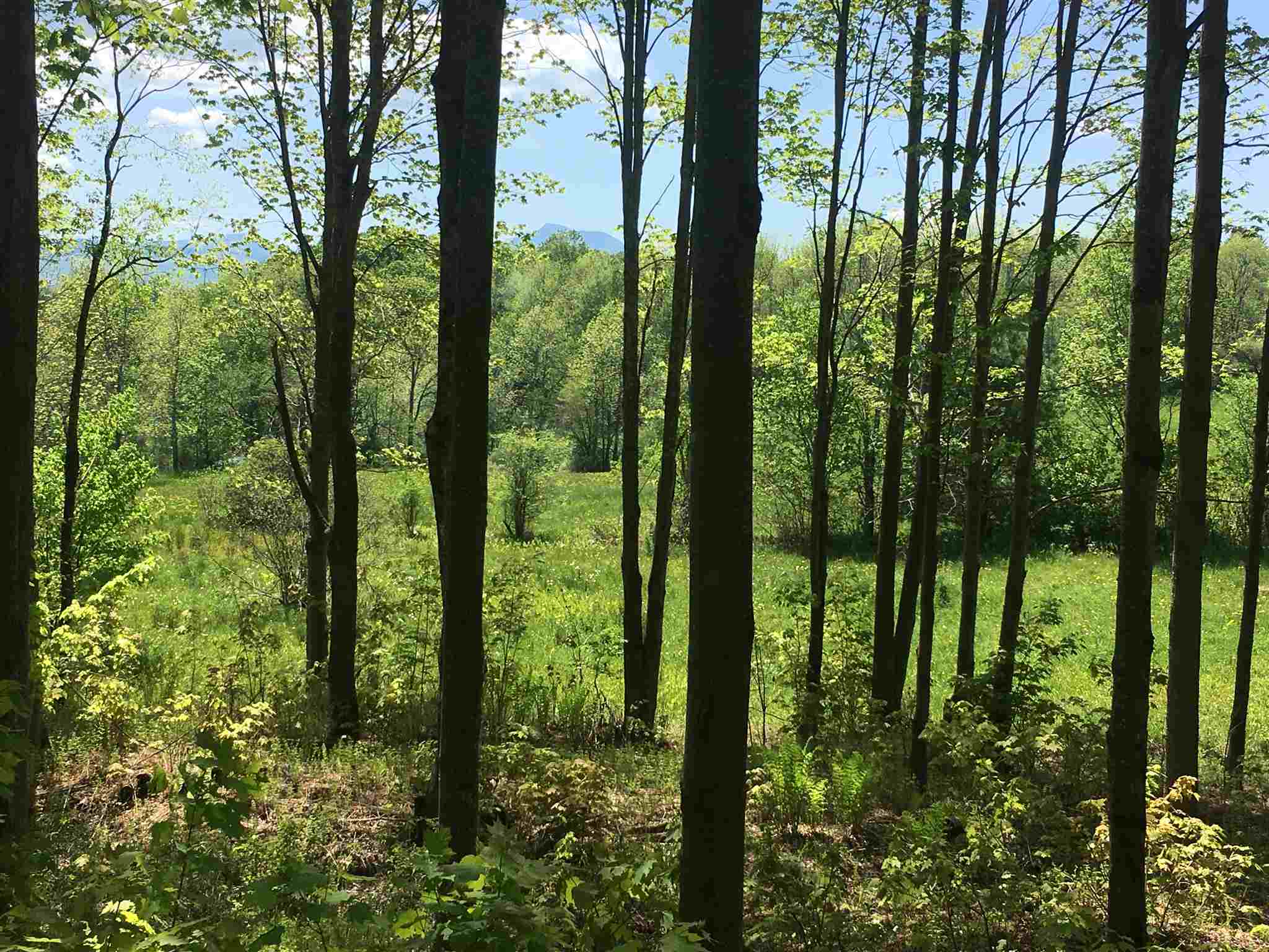 Property Photo: Lot 3 Guptil Road Lot #3 VT 05677