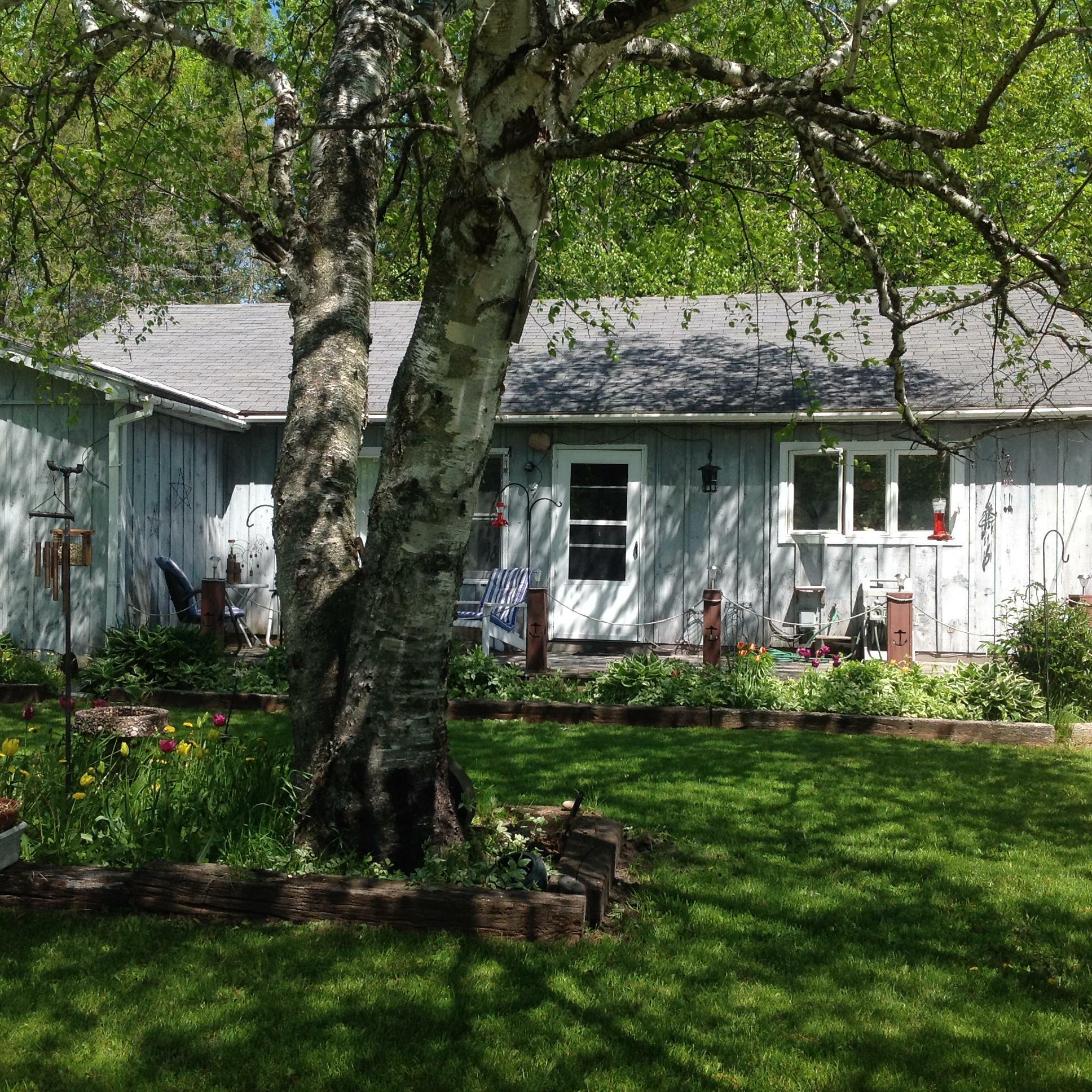 Property Photo:  480 N 3 Mile Rd  MI 49745 