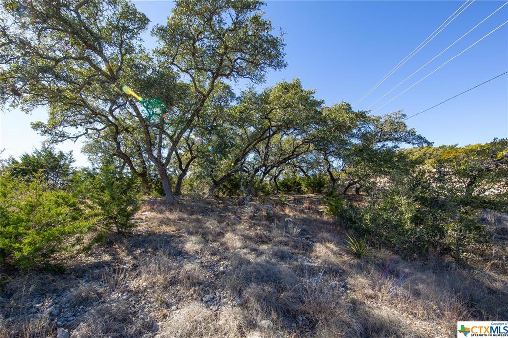 Property Photo:  Tbd Flanders  TX 78623 