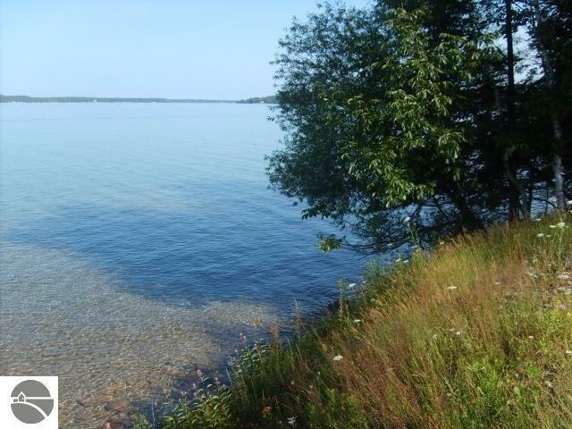 Property Photo:  386 E Torch Lake Drive  MI 49615 