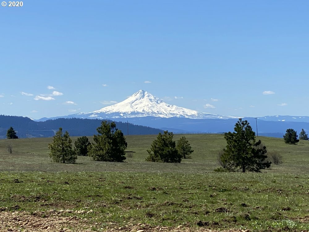 Property Photo:  5 Prairie Rose Ln  WA 98635 