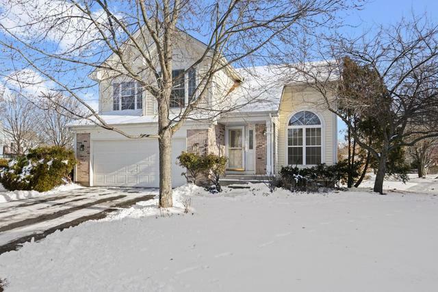 Property Photo:  1045 Butler Bay Court  IL 60120 