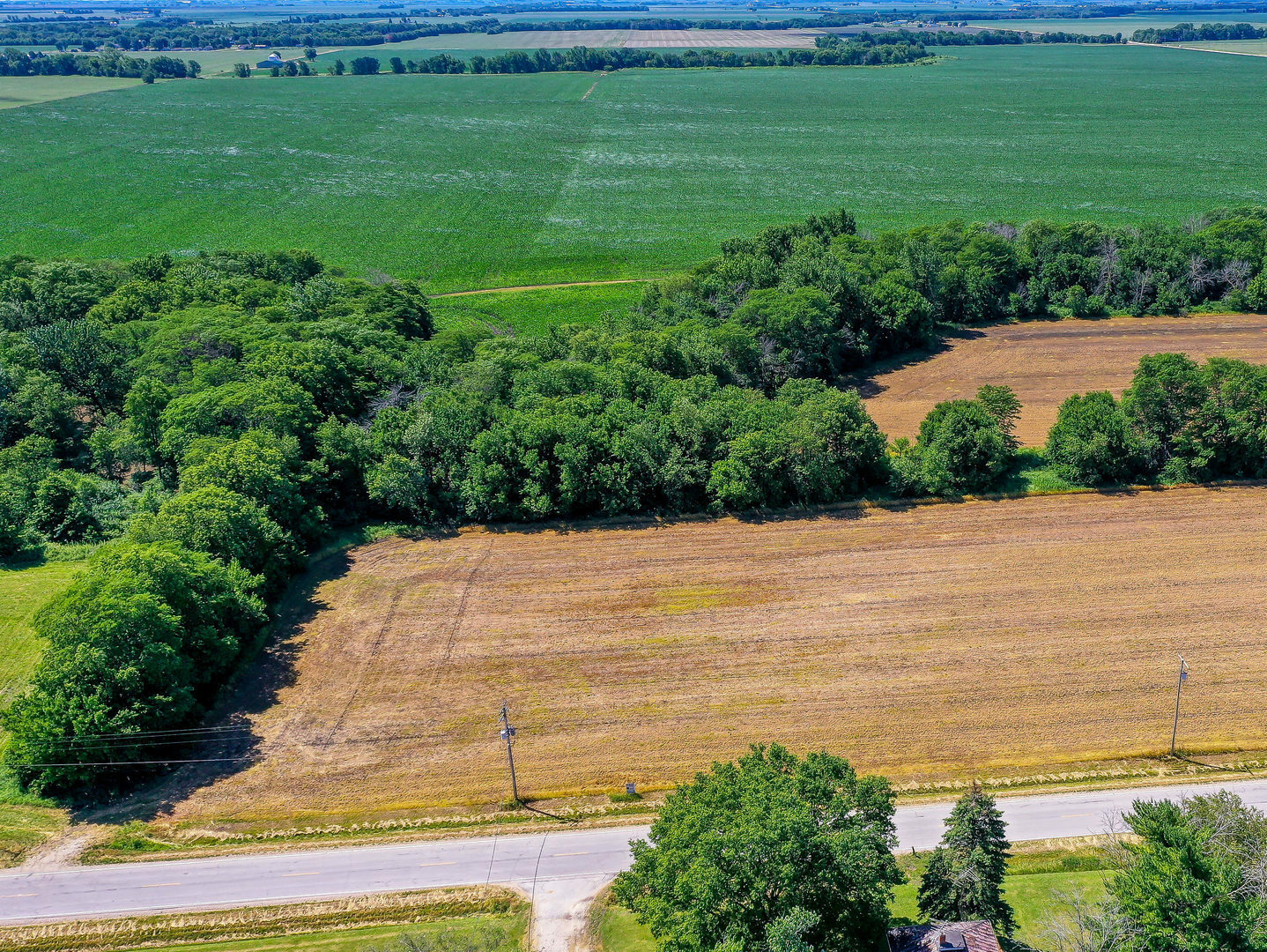 Property Photo: Lot 7 E Grand Ridge Road IL 60444