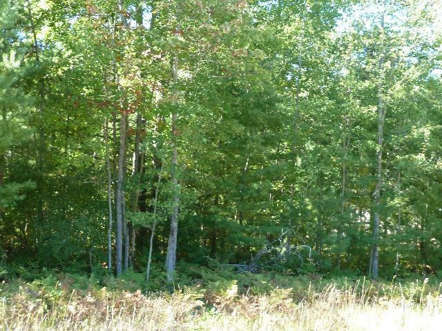 2228 Sommerset Drive  Alpena MI 49707 photo